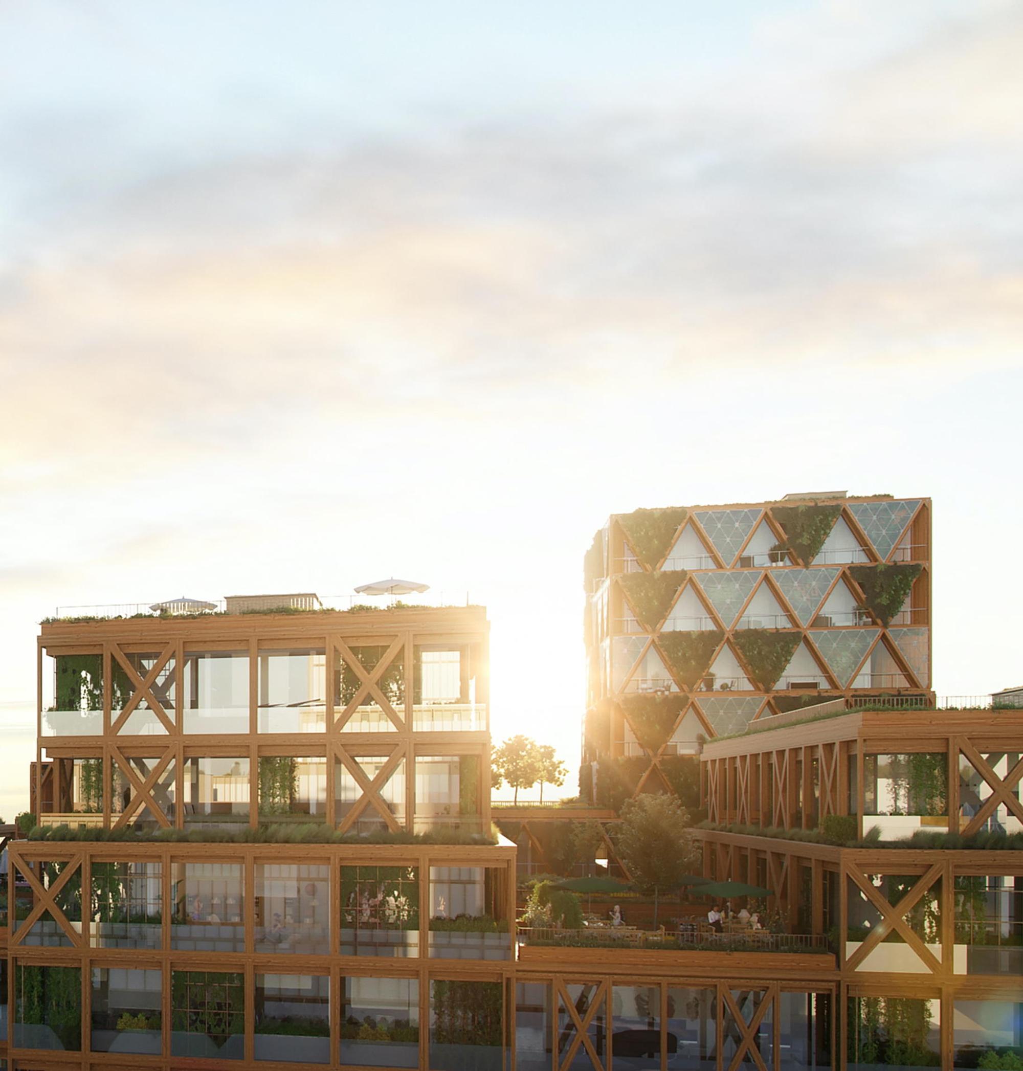 2941-02-AUA-e-10_Rooftops_R01