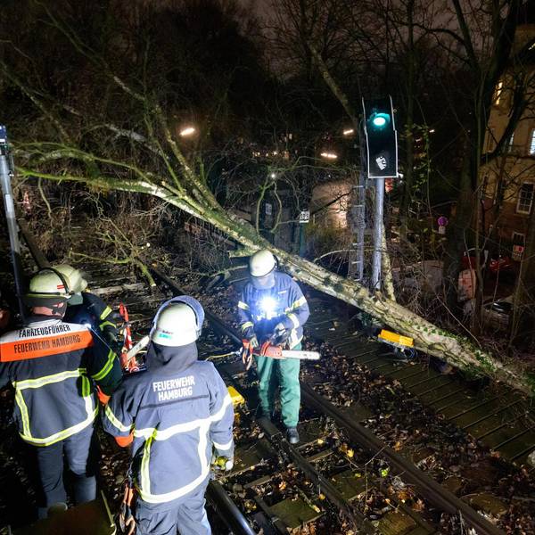 Feuerwehr Baum Hamburg