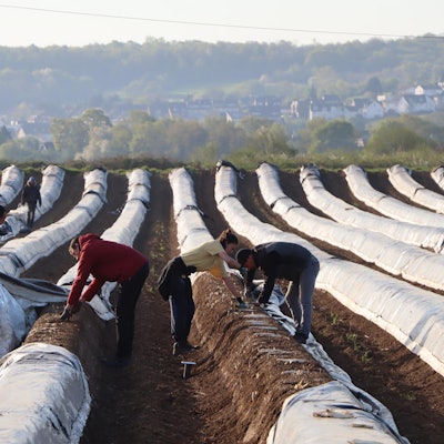 rhein-sieg-kreis_erntehelfer_mkl_4_