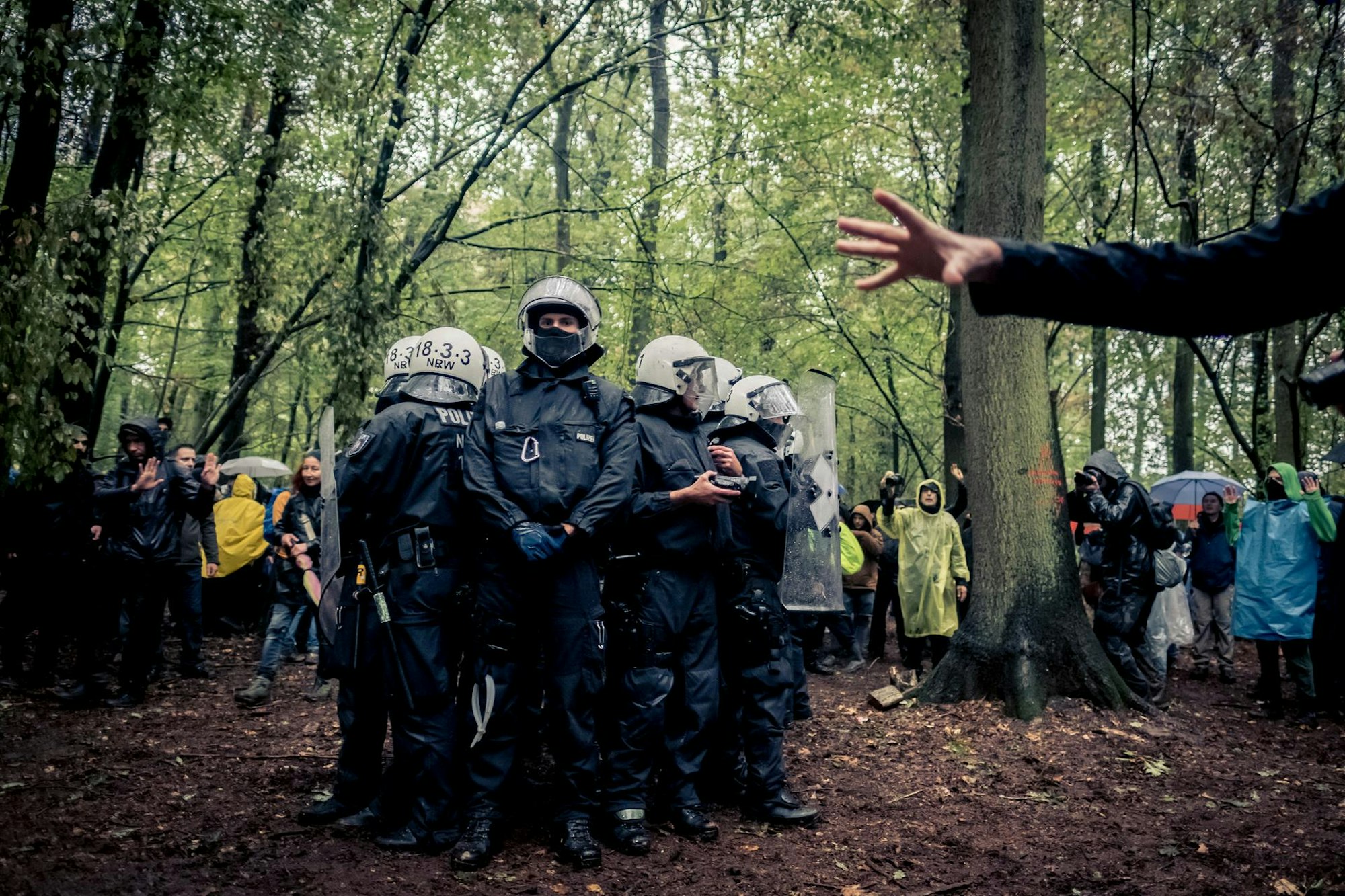 David_Klammer_Hambi_10_06