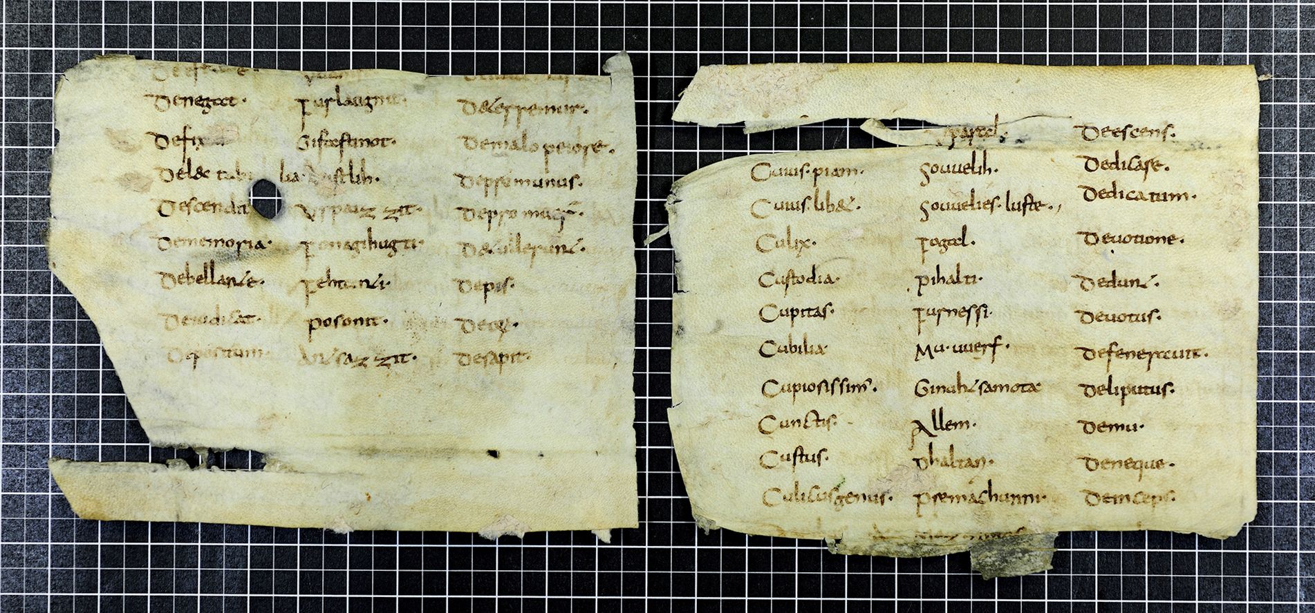 Schriftstück dpa