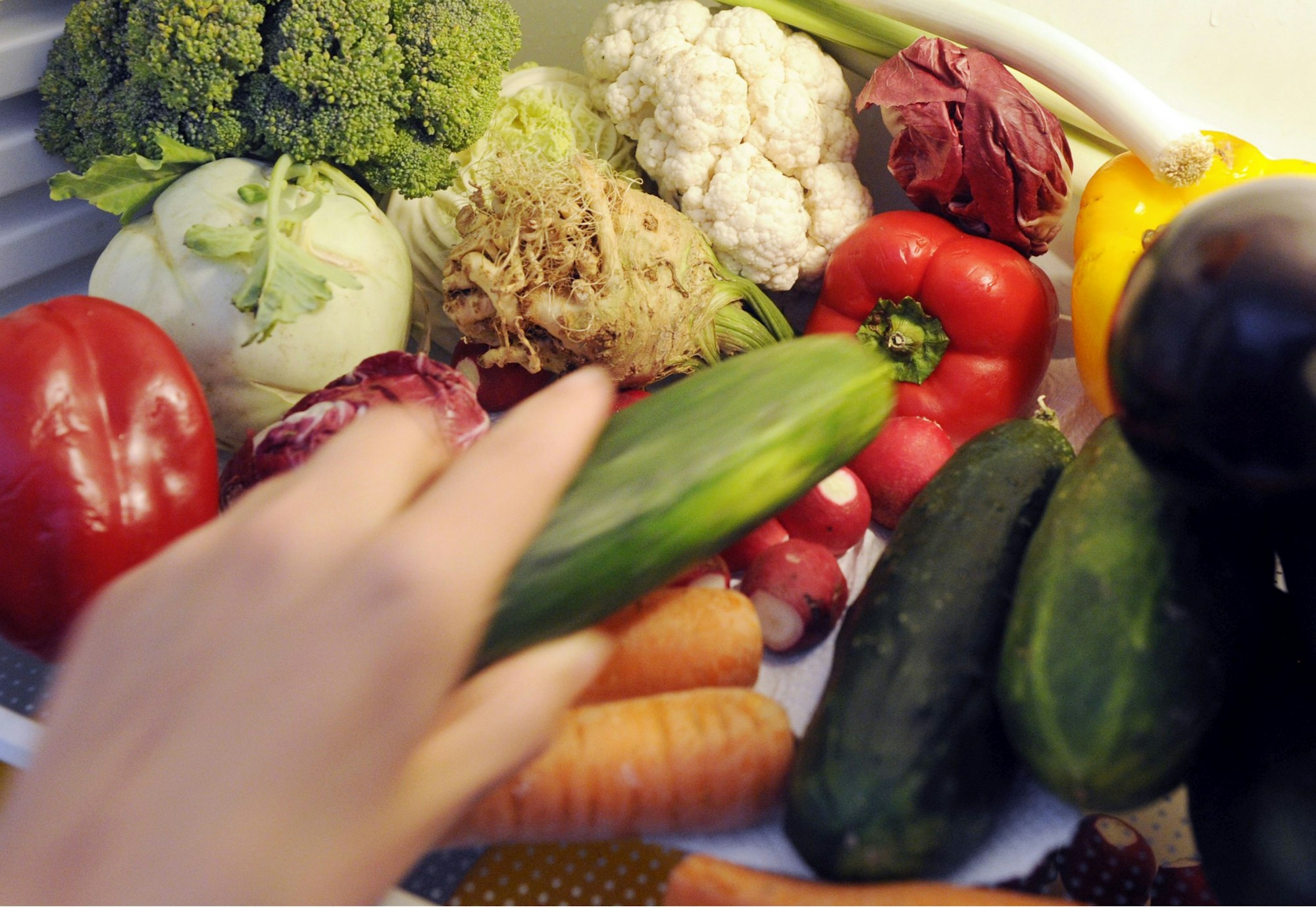 Gewissensfrage_Fleis_28783944