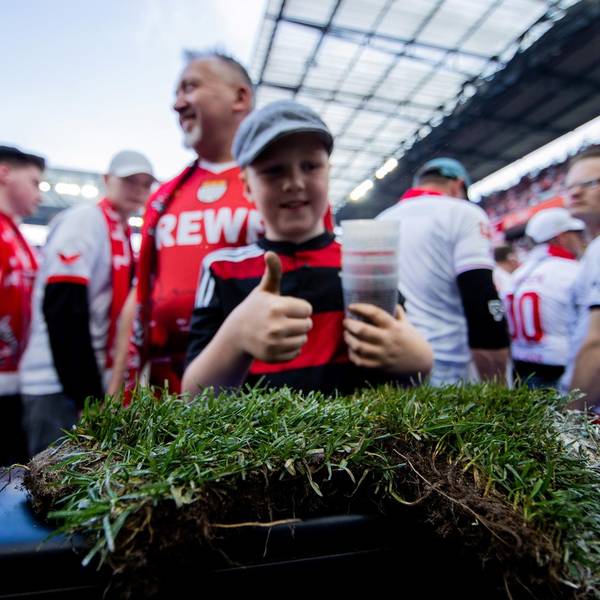 Neuer Inhalt