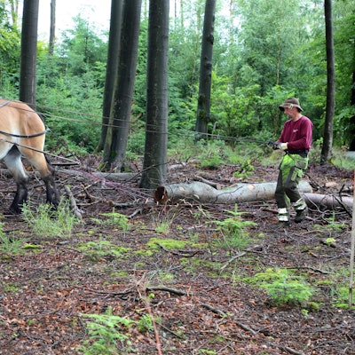 Sommertour 3 3 160721