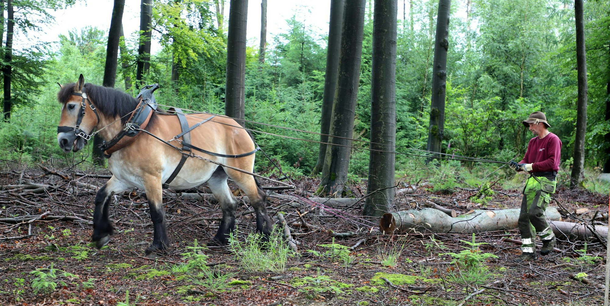 Sommertour 3 3 160721