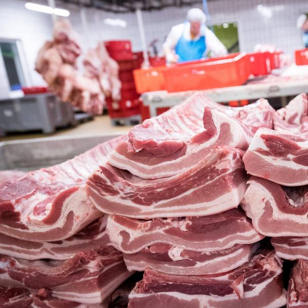 Bauchfleisch vom SChwein