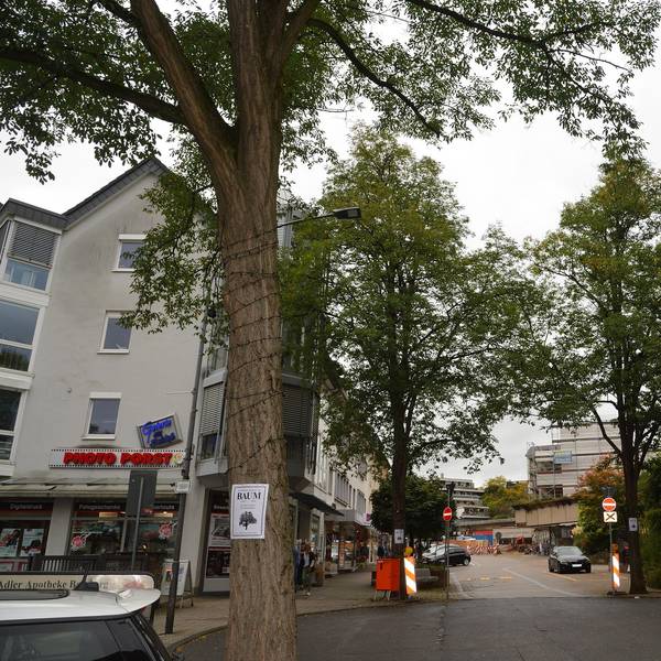 Bensberg_Bäume1