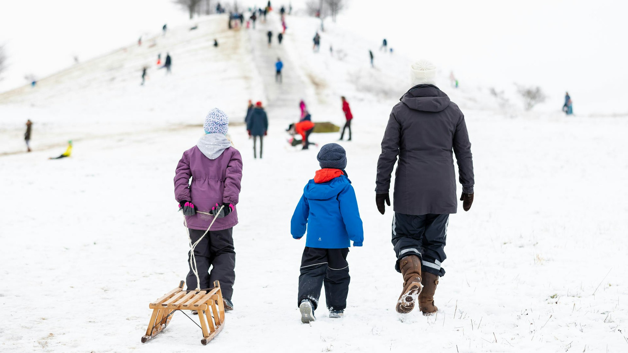 Eine erwachsene Person und zwei Kinder laufen mit einem Schlitten einen Hang hoch.