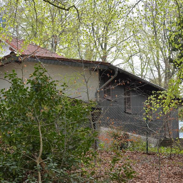 Schwarzbau_Kirschbaum_19082016