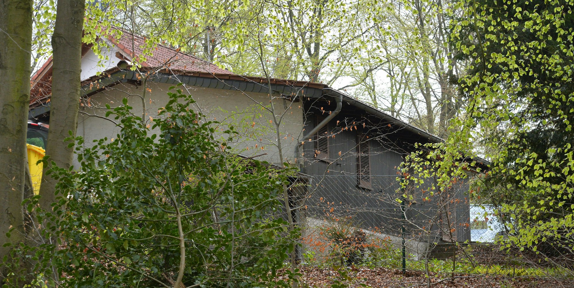 Schwarzbau_Kirschbaum_19082016