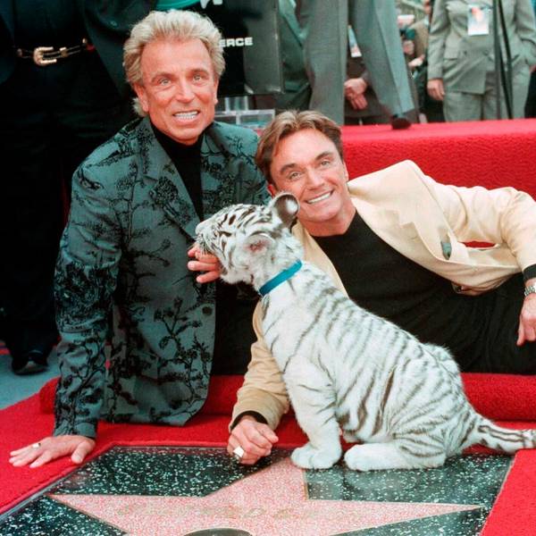 Siegfried Roy ap