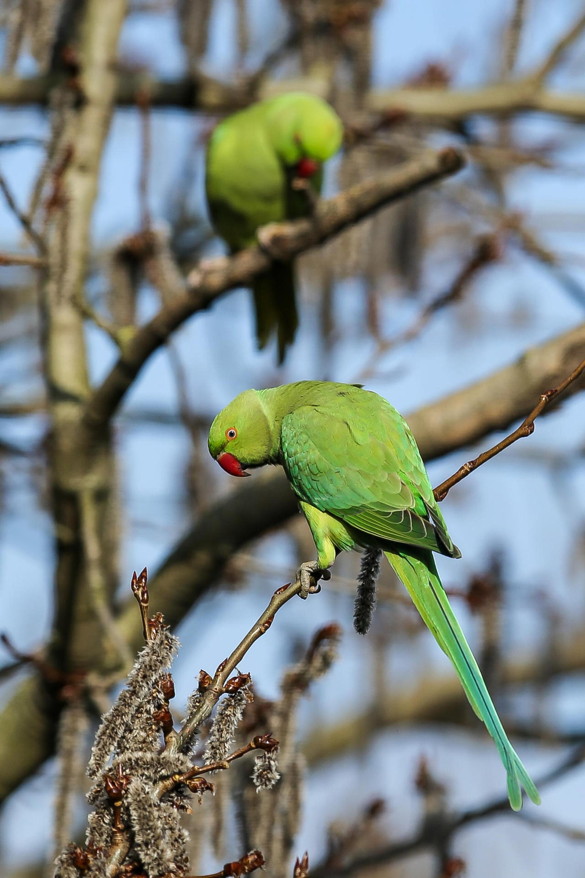 170314_SYMBOLFOTO_0005