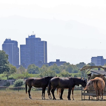 tier0_2018_07_31_MDS-KSTA-2018-07-31-71-135422702