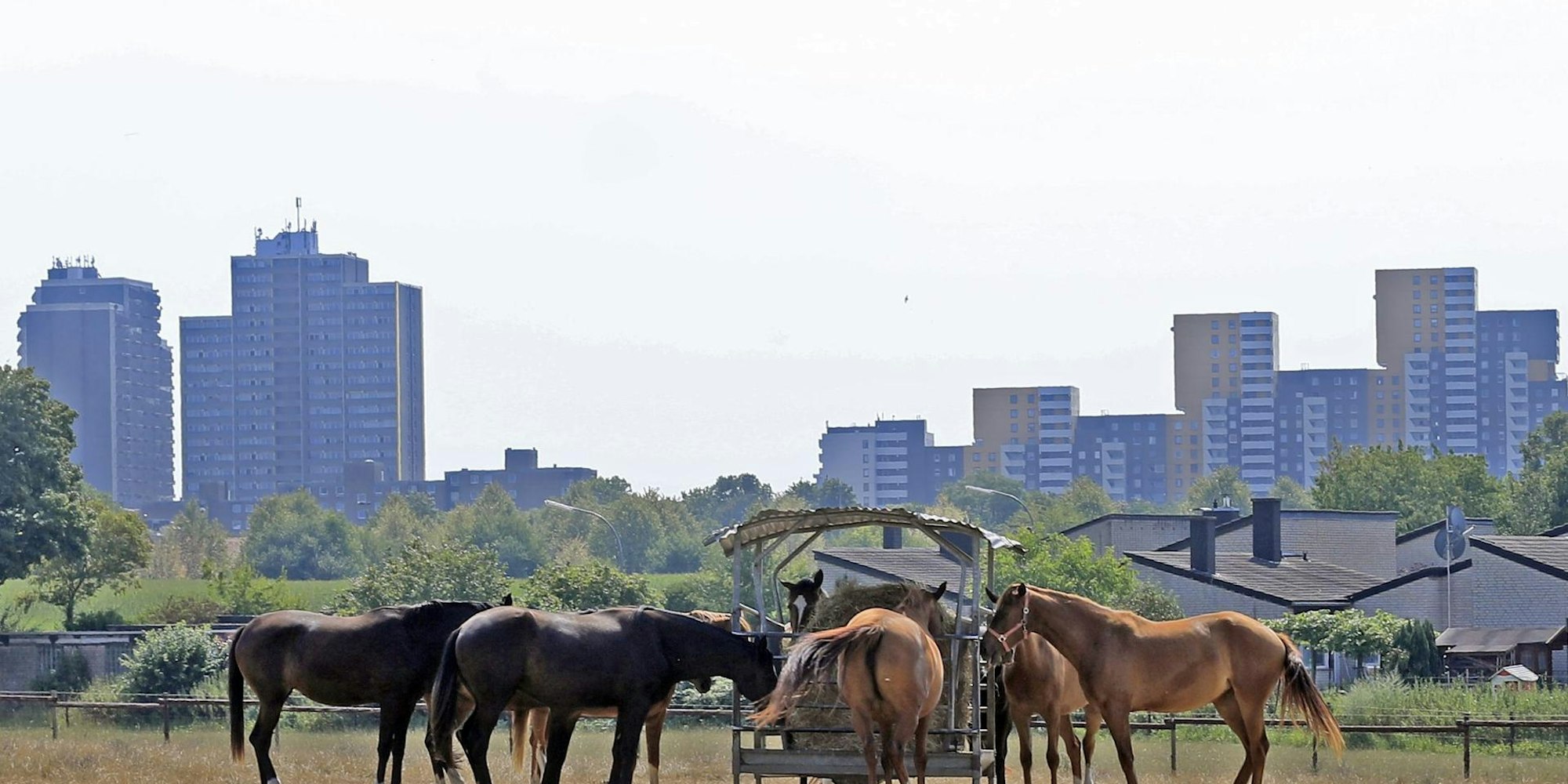 tier0_2018_07_31_MDS-KSTA-2018-07-31-71-135422702