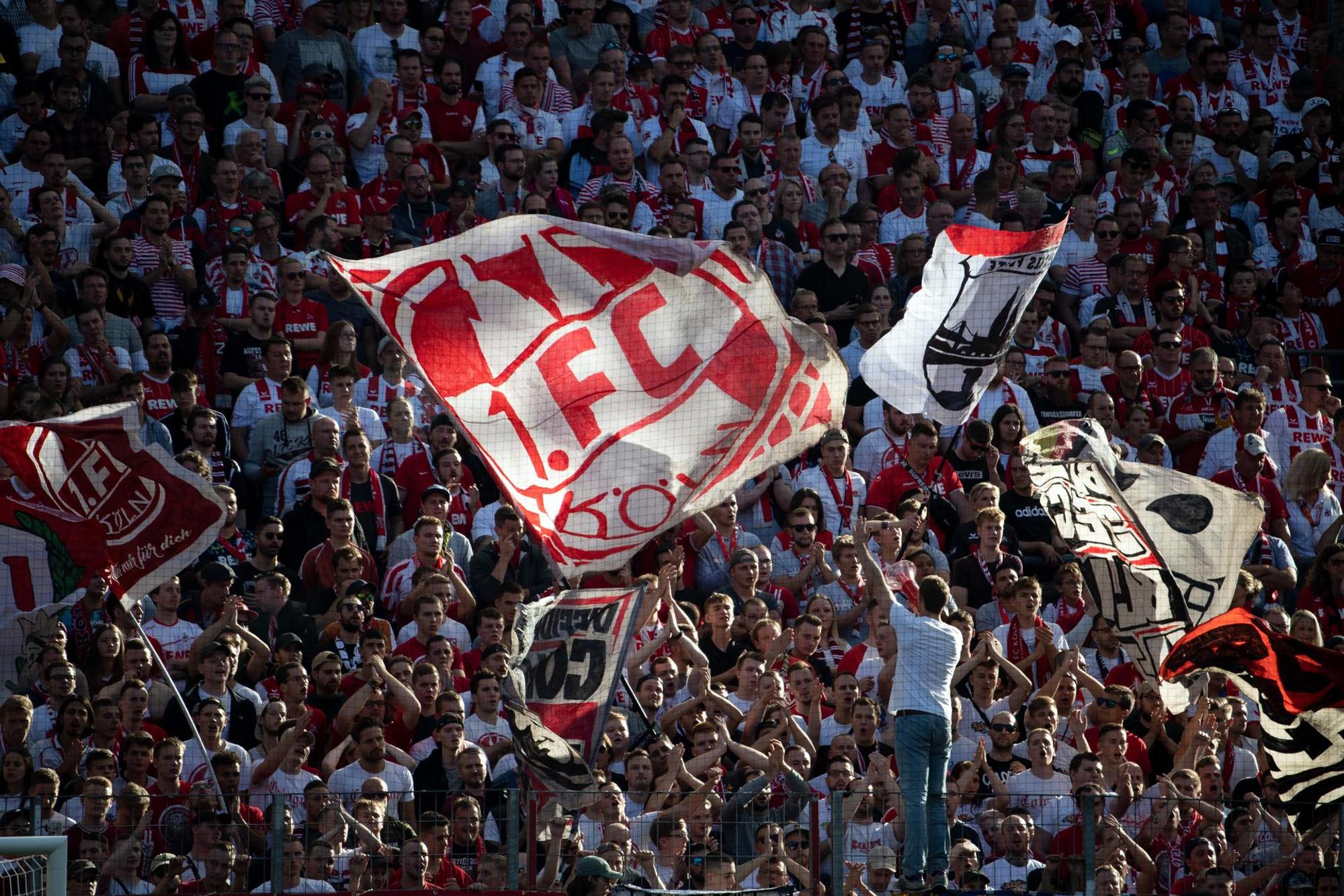 Effzeh Fans