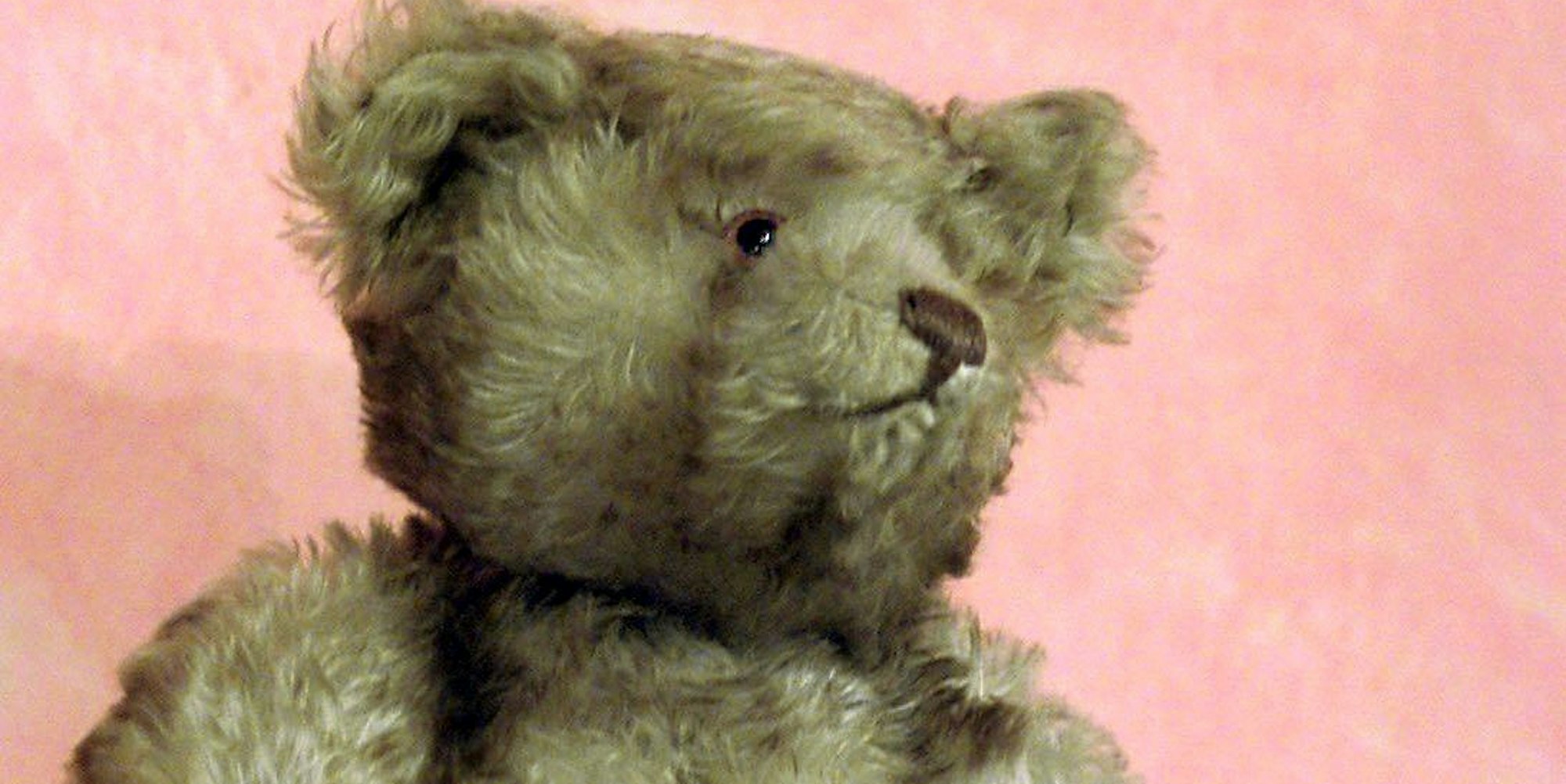 Teddybär