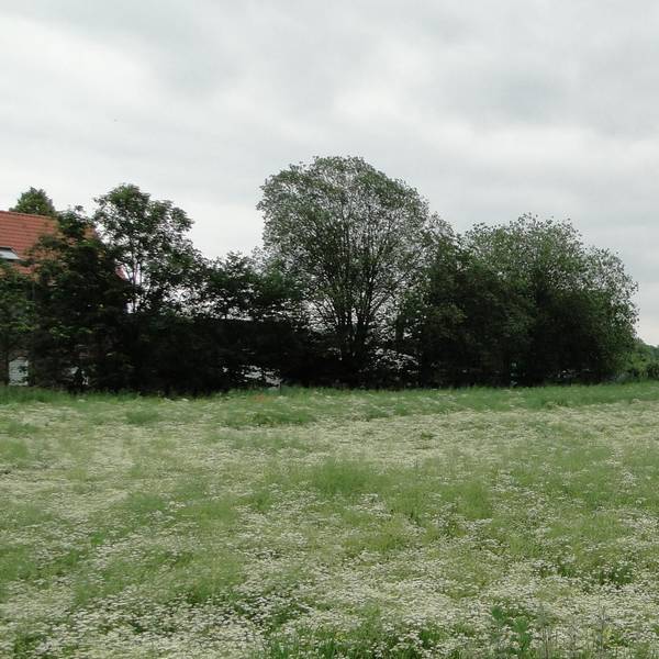 Planung Baptiststraße abgelehnt (1)