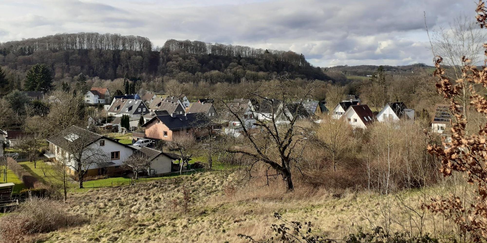 Neuer Inhalt