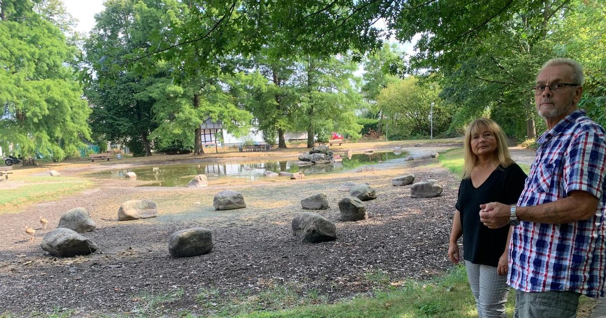 Der Teich in Sankt AugustinBirlinghoven ist verschmutzt und verlandet