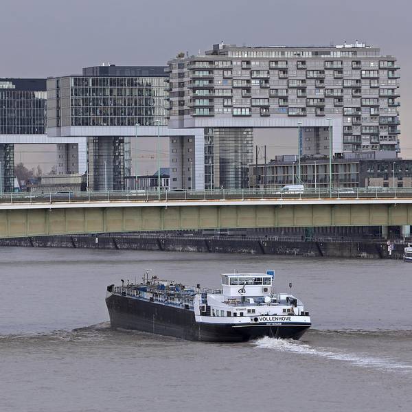 Hochwasser Rhein