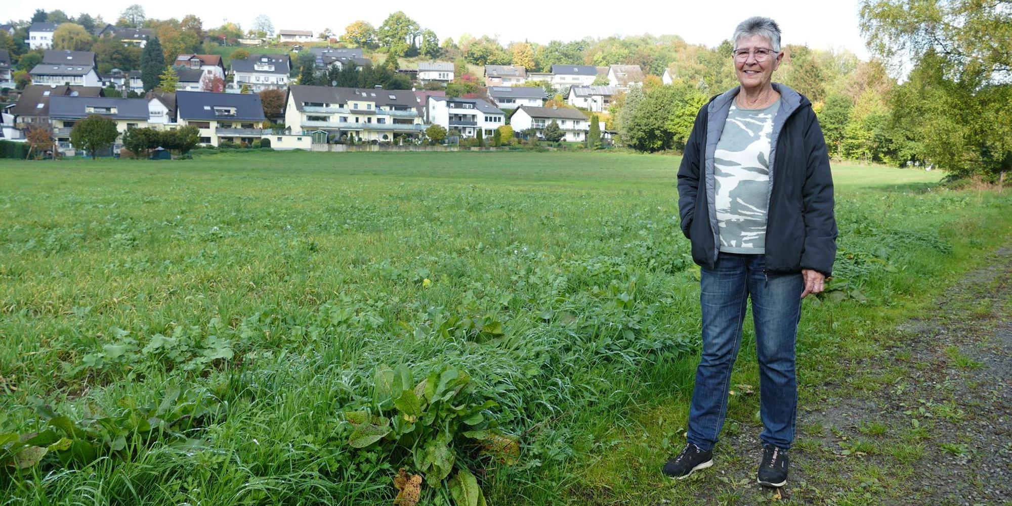 Neuer Inhalt