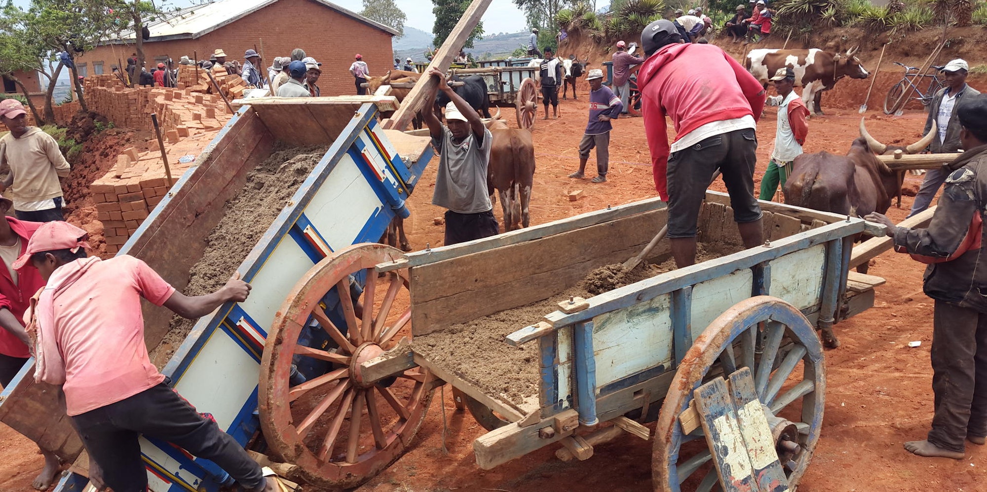 Schulbau-Fly_and_Help1