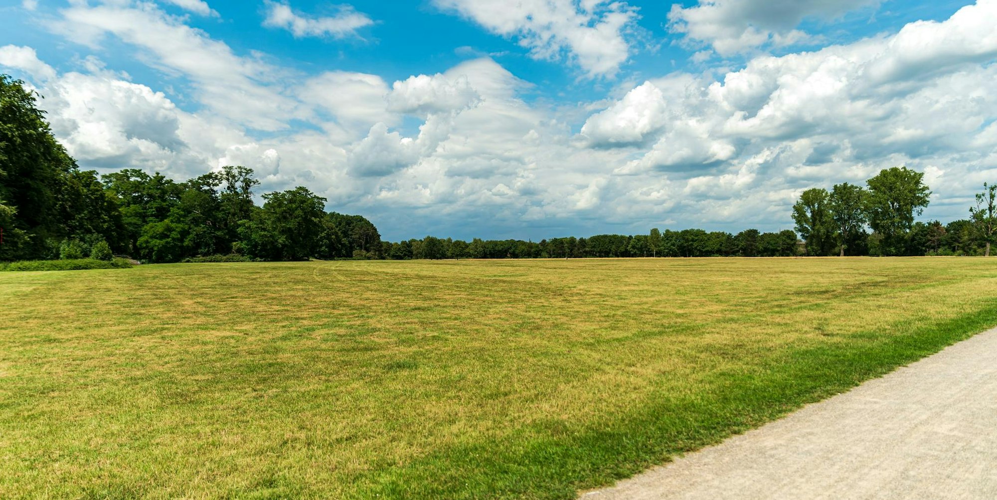 20200707-ARO-MerheimerHeide-2