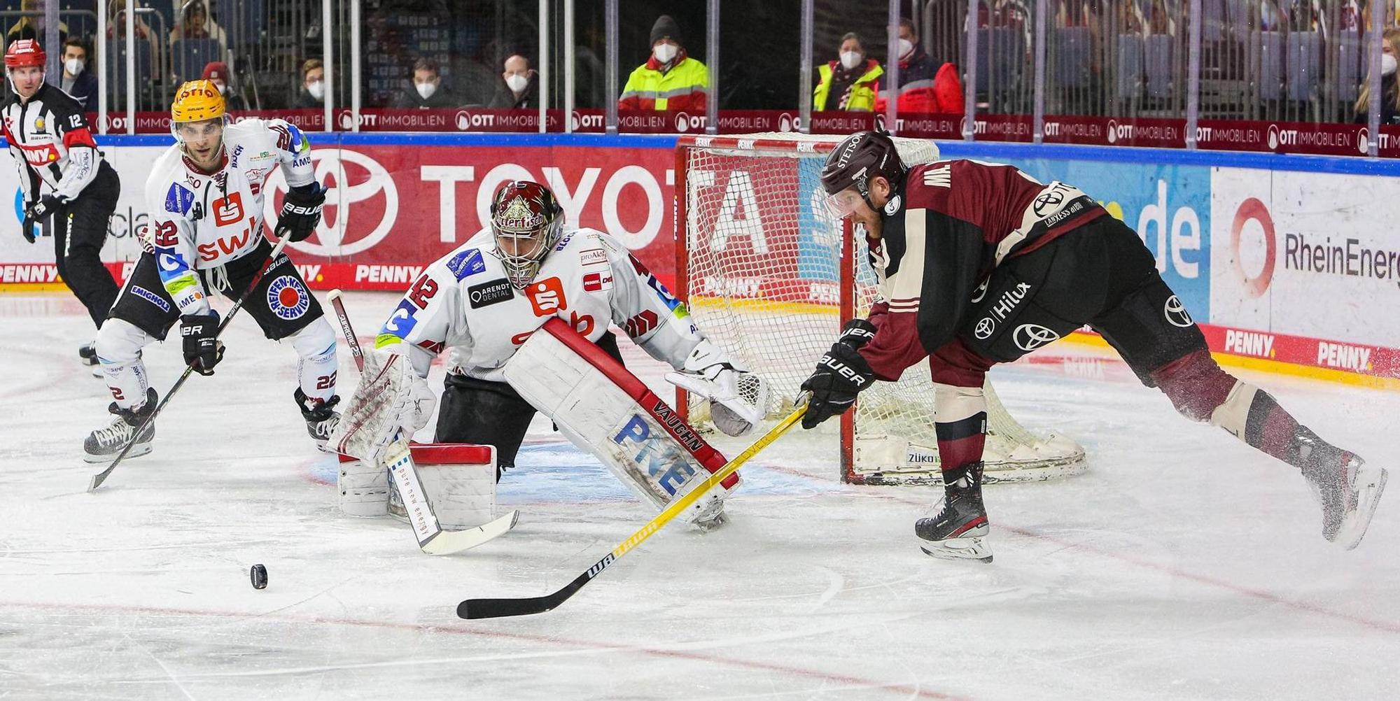 Kölner Haie gegen Pinguine