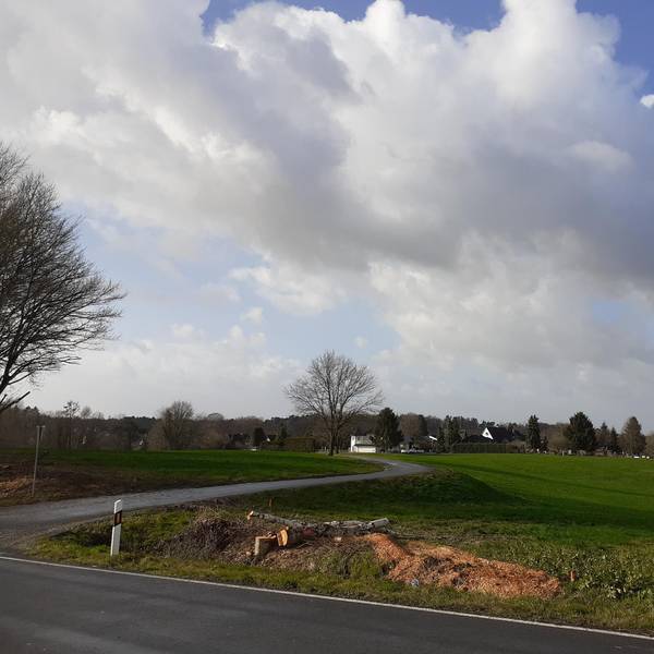 20220217-coh-regenbecken