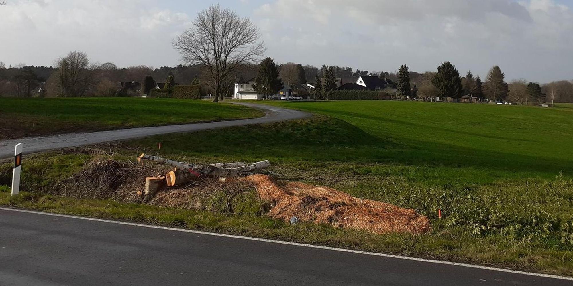20220217-coh-regenbecken
