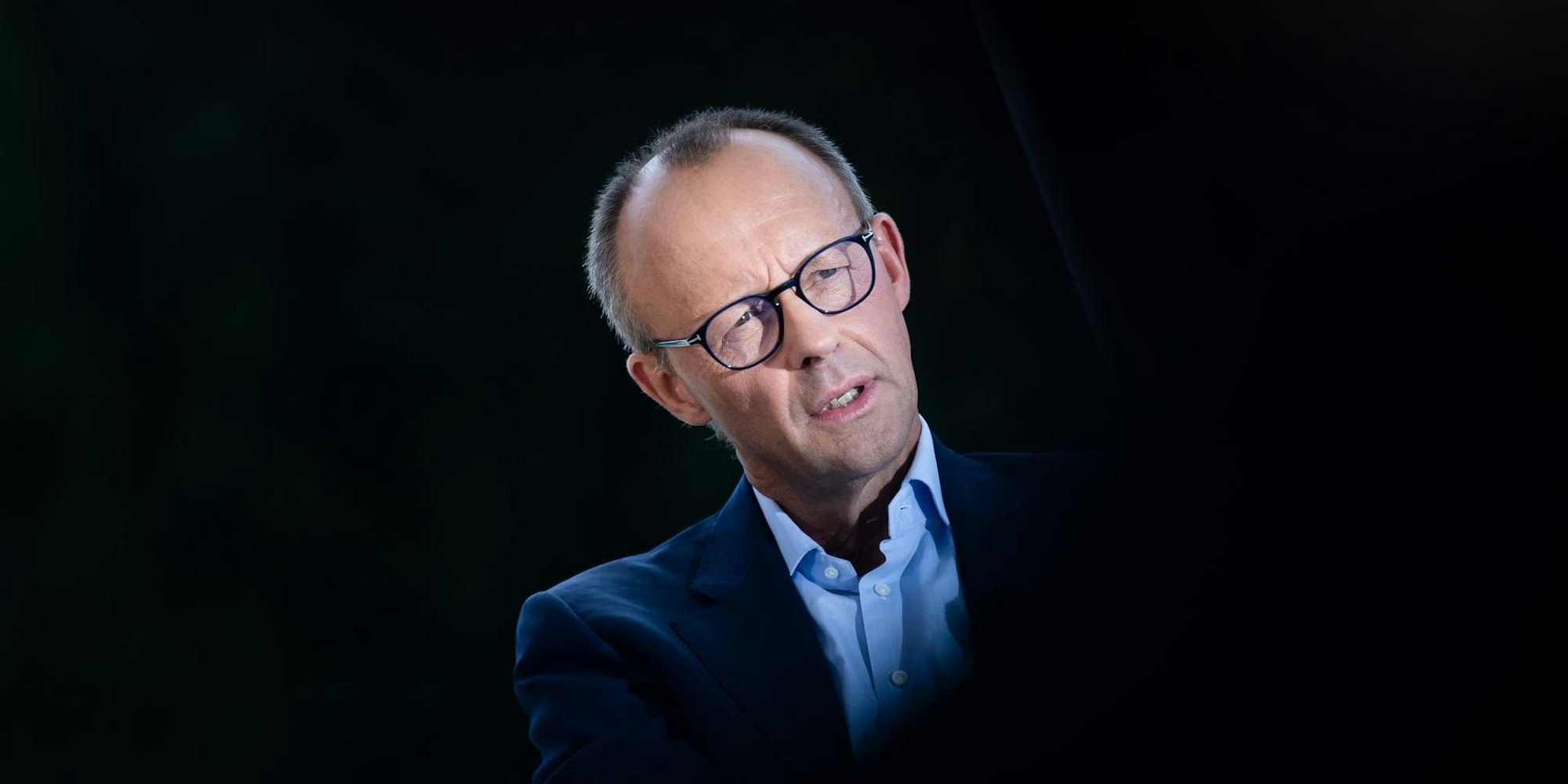 Friedrich Merz im Interview