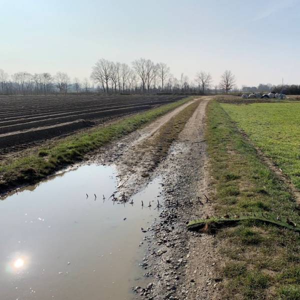 Nagelbretter Kerpen Hambach