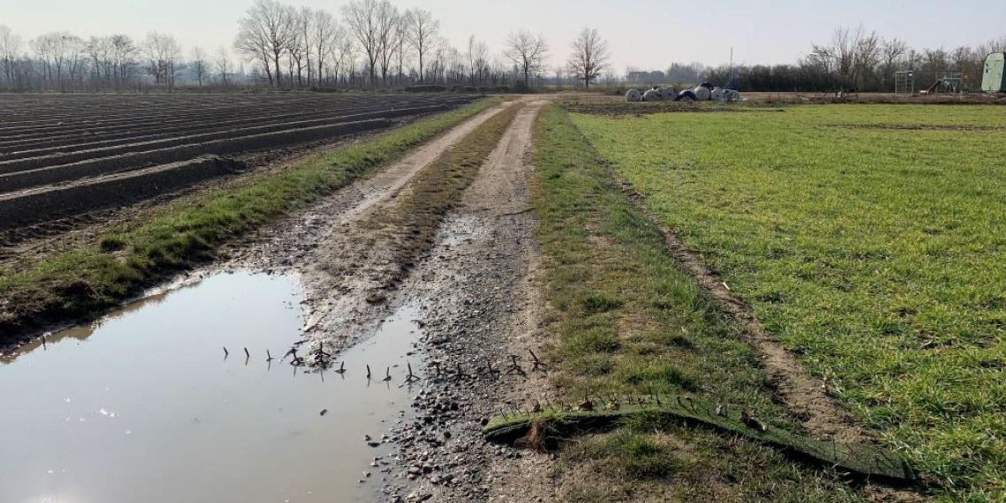 Nagelbretter Kerpen Hambach