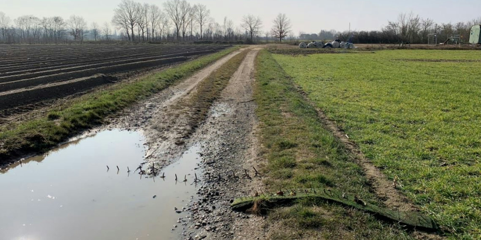 Nagelbretter Kerpen Hambach