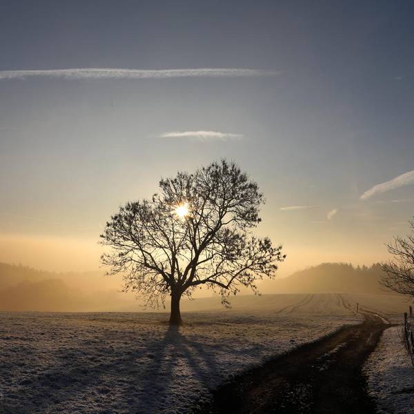 Ov_Winter_7053