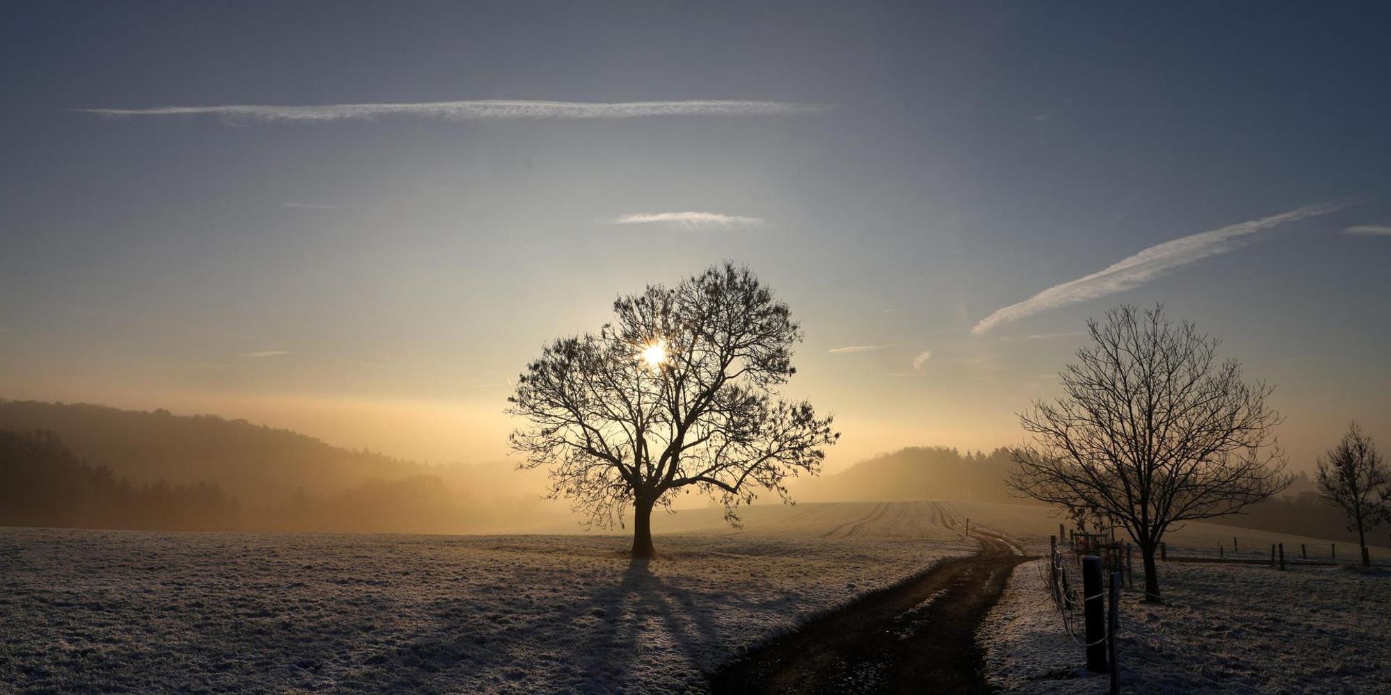 Ov_Winter_7053