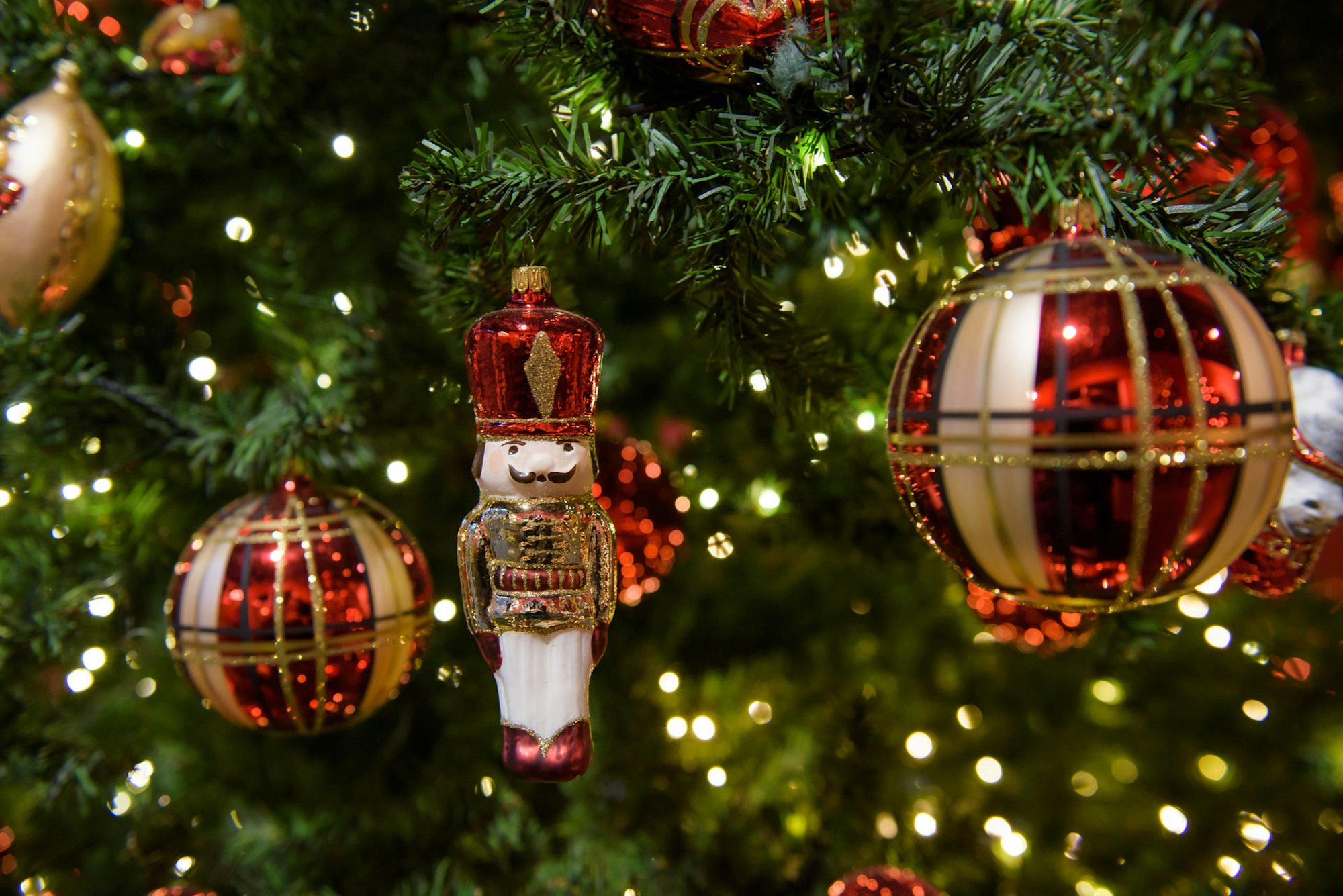 Warum_gibt_es_Baum_u_55111552