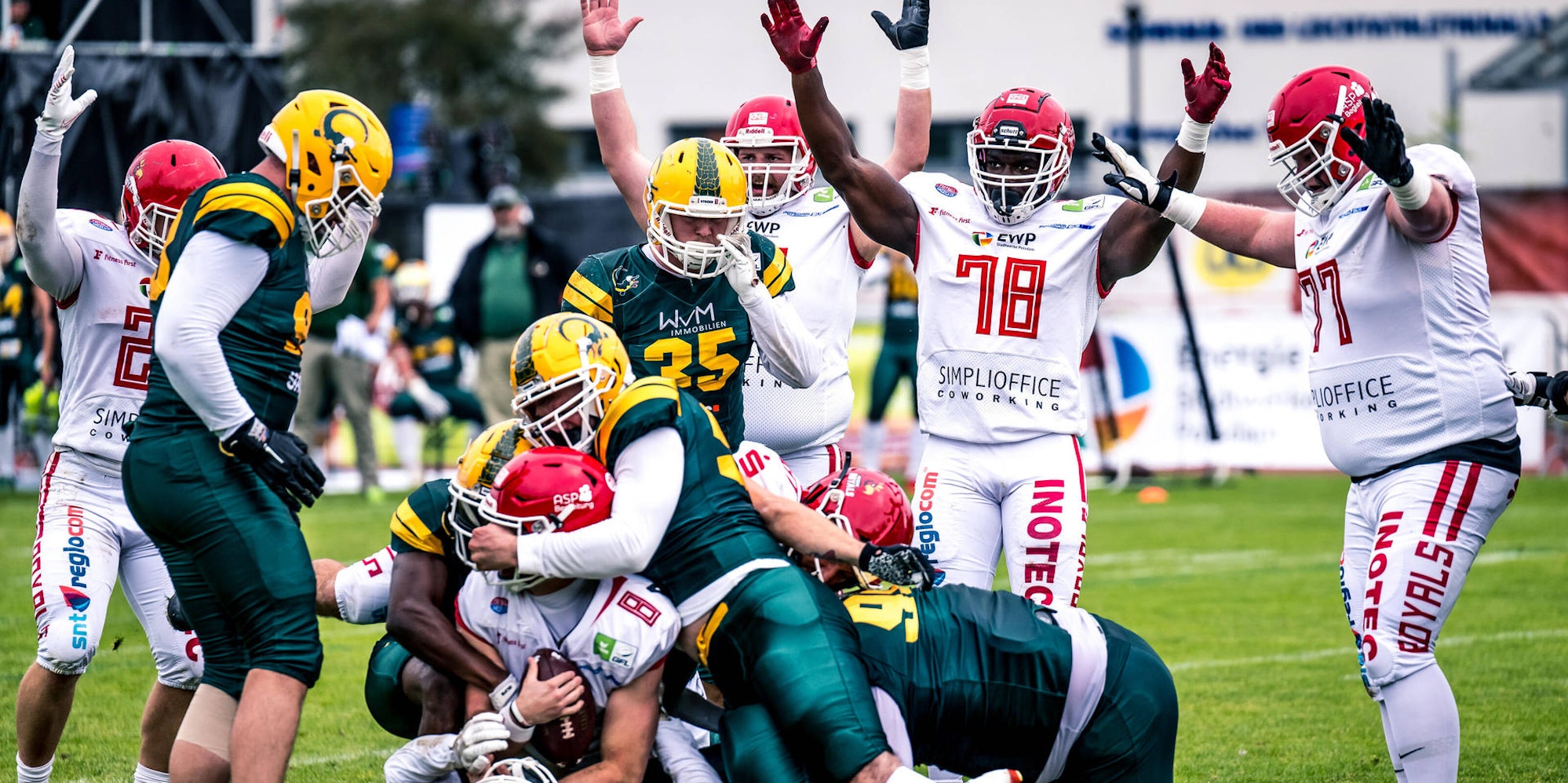 Crocodiles in Potsdam 2