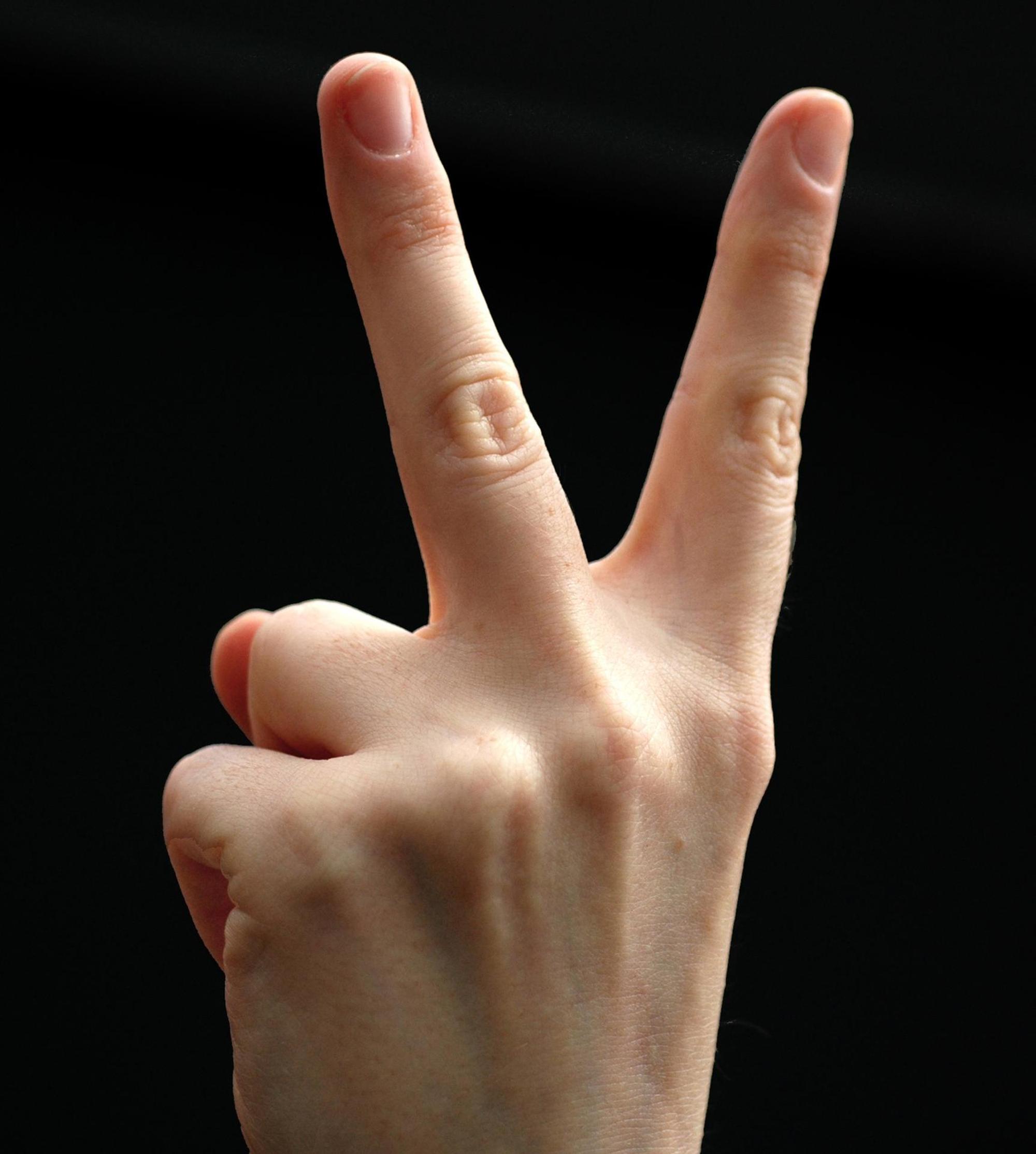 Gesten Victory
