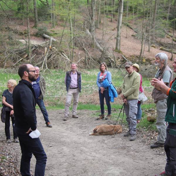 Durchforstung_Naafbachtal