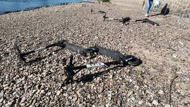 Scooter im Rhein Krake