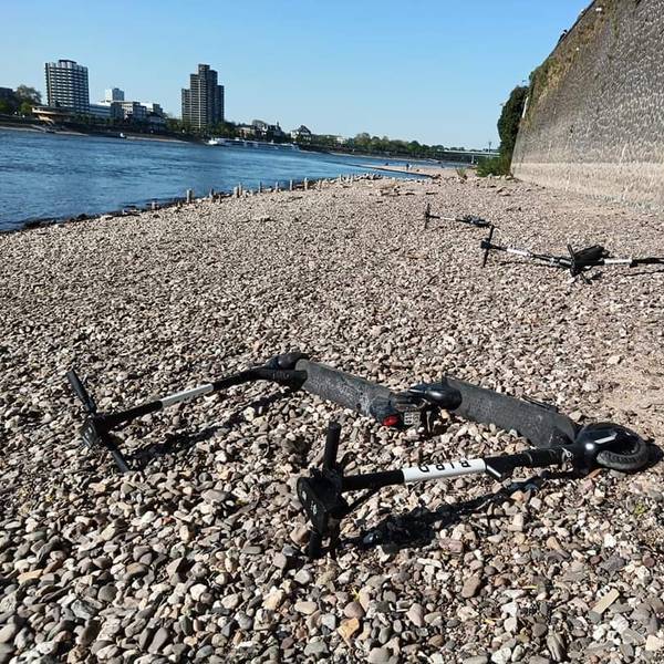 Scooter im Rhein Krake