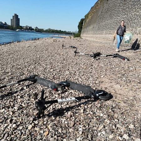 Scooter im Rhein Krake