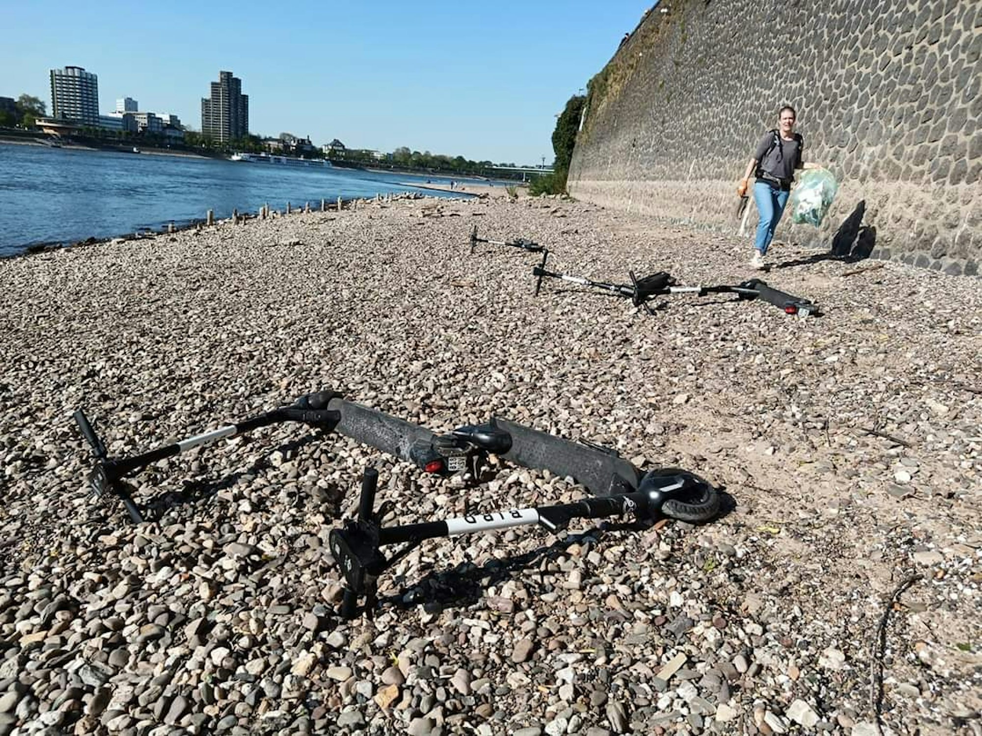 Scooter im Rhein Krake