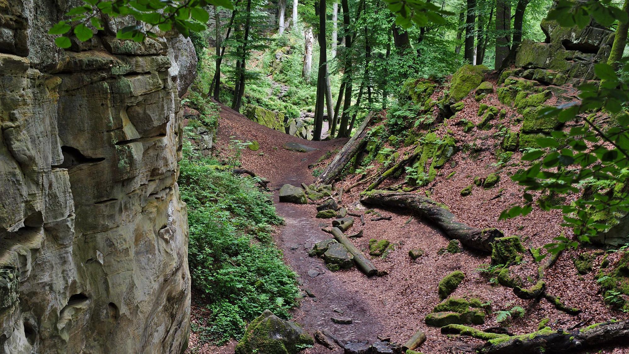 Teuflisch schöne Felsen und viel Natur rund um die Teufelsschlucht.