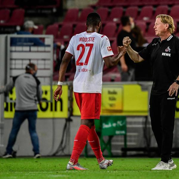 Gisdol Modeste