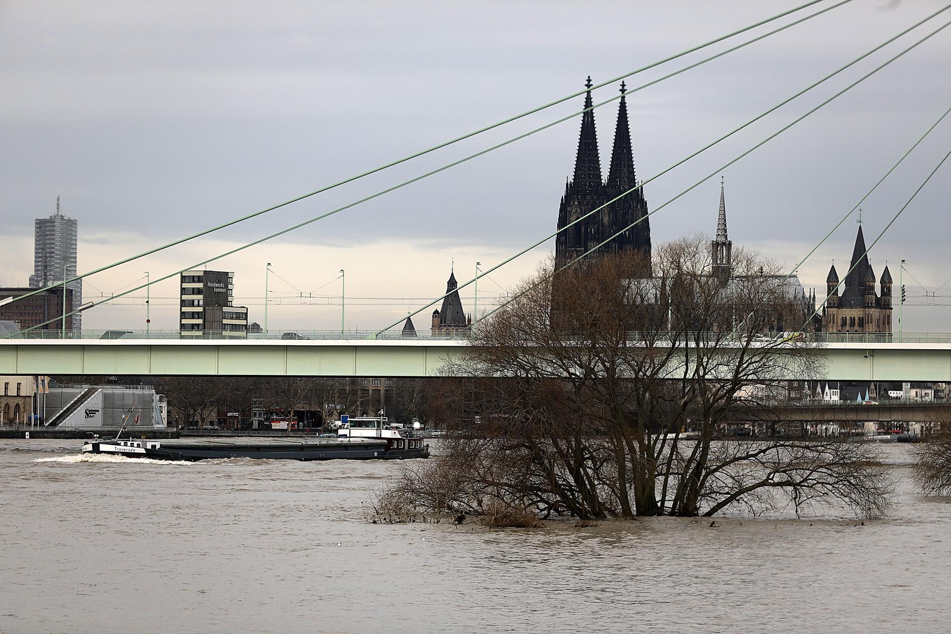 Hochwasser Rhein dpa