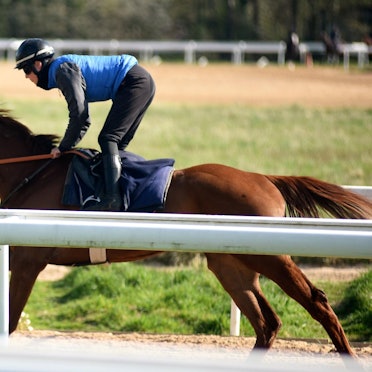 Rennbahn Weidenpesch 170422