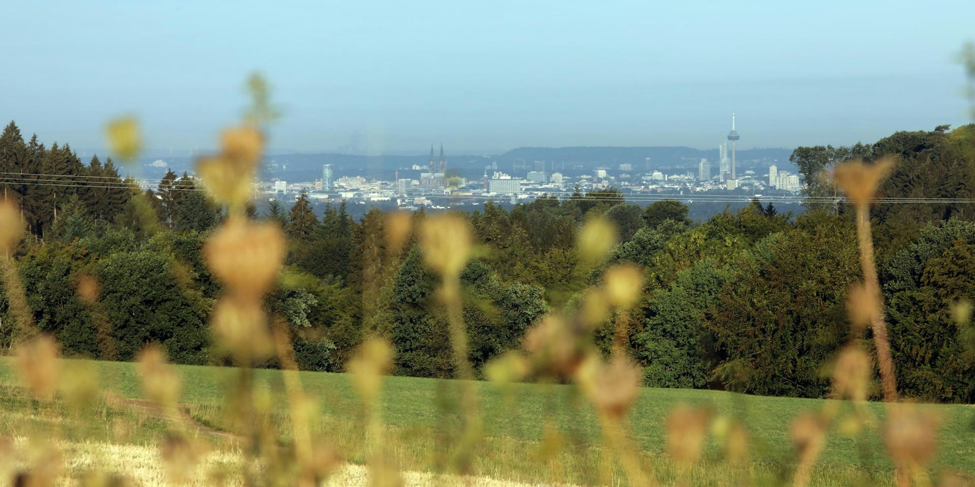 GL_Koeln-Panorama_Voisloehe_2615