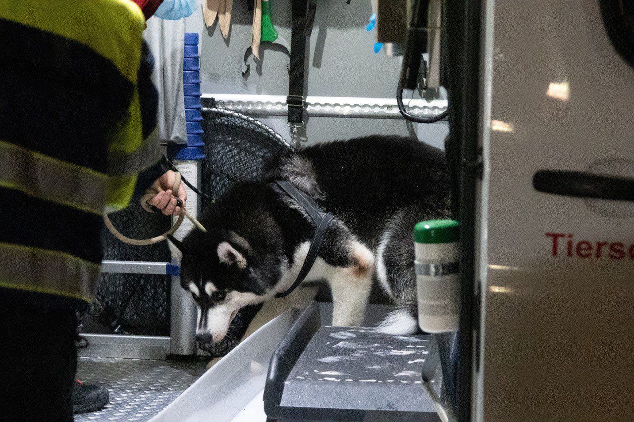 Huskys KRefeld